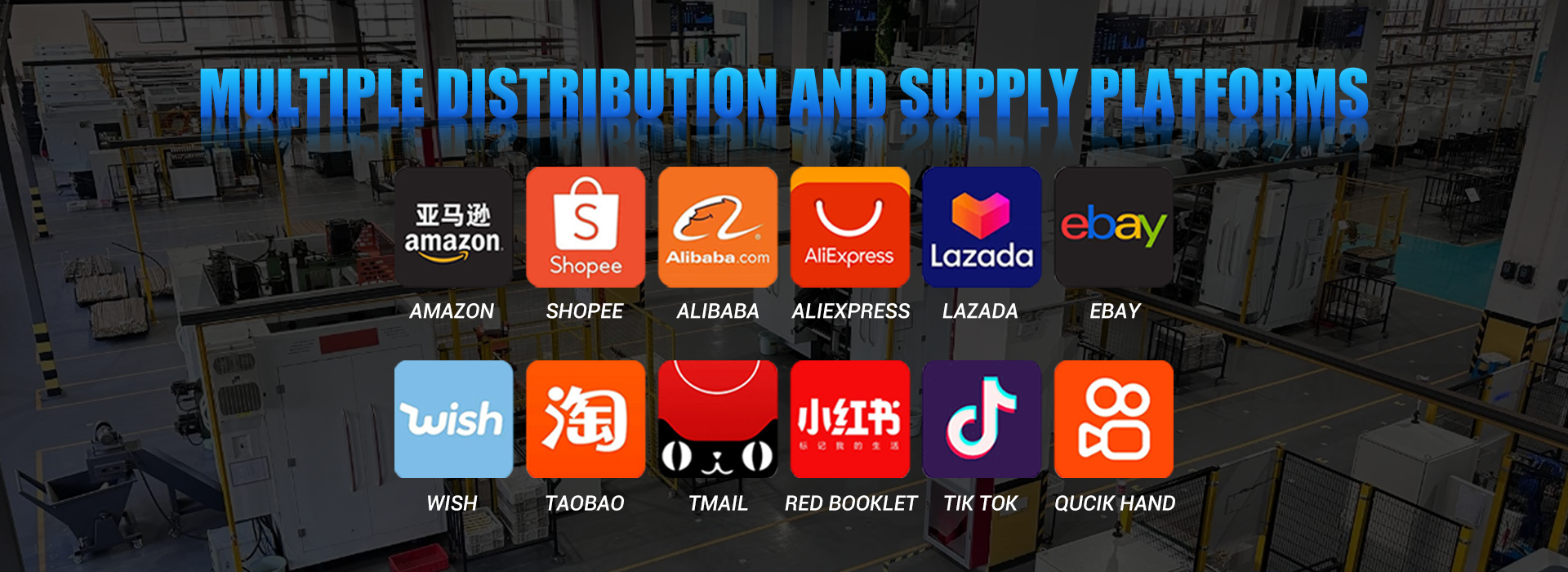 Multiple distribution and supply platforms